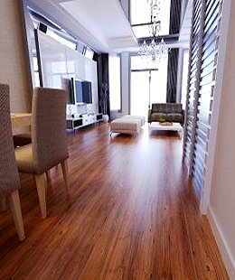 Laminate Floors